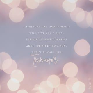 Bible Verse of the Day - day 271 - image 25555 (Isaiah 7:14)