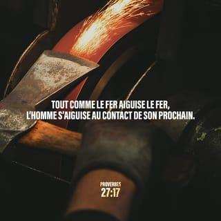 Proverbes 27:17 - Comme le fer aiguise le fer, ainsi un homme en aiguise un autre.