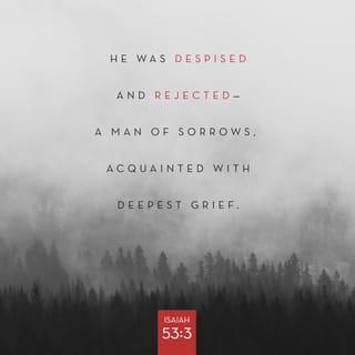 Isaiah 53:3 - He was despised and rejected—
a man of sorrows, acquainted with deepest grief.
We turned our backs on him and looked the other way.
He was despised, and we did not care.