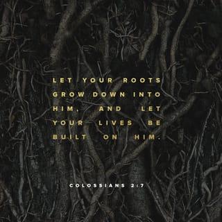Colossians 2:6-7 - So then, just as you have received Christ Jesus as Lord, continue to walk in him, being rooted and built up in him and established in the faith, just as you were taught, and overflowing with gratitude.