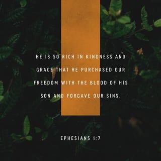 Ephesians 1:7 - In Him we have redemption (deliverance and salvation) through His blood, the remission (forgiveness) of our offenses (shortcomings and trespasses), in accordance with the riches and the generosity of His gracious favor