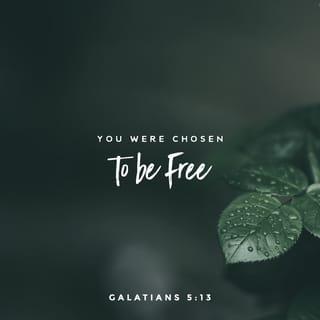 Galatians 5:13 - My brothers and sisters, you were chosen to be free. But don’t use your freedom as an excuse to live under the power of sin. Instead, serve one another in love.