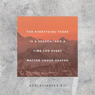 Ecclesiastes 3:1-15 - There is an occasion for everything,
and a time for every activity under heaven:
a time to give birth and a time to die;
a time to plant and a time to uproot;
a time to kill and a time to heal;
a time to tear down and a time to build;
a time to weep and a time to laugh;
a time to mourn and a time to dance;
a time to throw stones and a time to gather stones;
a time to embrace and a time to avoid embracing;
a time to search and a time to count as lost;
a time to keep and a time to throw away;
a time to tear and a time to sew;
a time to be silent and a time to speak;
a time to love and a time to hate;
a time for war and a time for peace.
What does the worker gain from his struggles? I have seen the task that God has given the children of Adam to keep them occupied. He has made everything appropriate in its time. He has also put eternity in their hearts, but no one can discover the work God has done from beginning to end. I know that there is nothing better for them than to rejoice and enjoy the good life. It is also the gift of God whenever anyone eats, drinks, and enjoys all his efforts. I know that everything God does will last forever; there is no adding to it or taking from it. God works so that people will be in awe of him. Whatever is, has already been, and whatever will be, already is. However, God seeks justice for the persecuted.