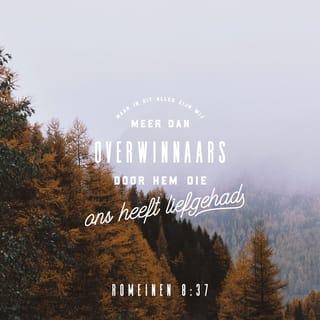 Romeinen 8:37 - Maar in alle moeilijkheden zijn we meer dan overwinnaars, dankzij Hem die van ons houdt.