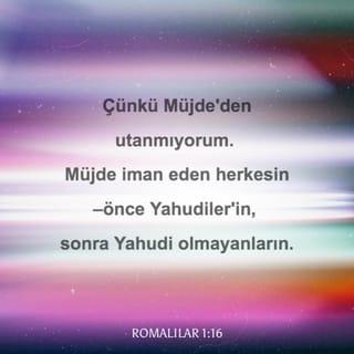ROMALILAR 1:16 TCL02