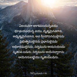 కొలొస్సీ పత్రిక 1:16 - ఎందుకనగా, ఆయనలోనే సమస్తం సృష్టించబడ్డాయి, అనగా: ఆకాశంలో ఉన్నవి, భూమిపై ఉన్నవి, కంటికి కనబడేవి కనబడనివి, సింహాసనాలైనా లేదా ప్రభుత్వాలైనా లేదా పాలకులైనా లేదా అధికారులైనా, సమస్తం ఆయన ద్వారానే ఆయన కొరకే సృష్టించబడ్డాయి.