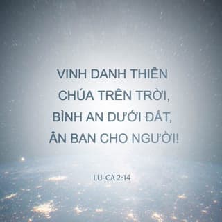 Lu-ca 2:13-16 - Bỗng nhiên, có muôn vàn thiên binh cùng với thiên sứ ấy ngợi ca Đức Chúa Trời rằng:
“Vinh danh Thiên Chúa trên trời,
Bình an dưới đất, ân ban cho người!”
Sau khi các thiên sứ lìa họ lên trời rồi, các người chăn chiên nói với nhau rằng: “Chúng ta hãy đi đến thành Bết-lê-hem xem việc đã xảy ra mà Chúa cho chúng ta biết.” Vậy, họ vội vàng đi đến đó, gặp Ma-ri, Giô-sép, và thấy con trẻ đang nằm trong máng cỏ.