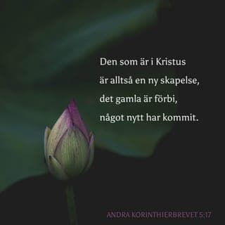 Andra Korintierbrevet 5:17-21 - Om någon är i Kristus är han alltså en ny skapelse. Det gamla är förbi, något nytt har kommit. Och allt kommer från Gud, som har försonat oss med sig själv genom Kristus och gett oss försoningens tjänst. Gud var i Kristus och försonade världen med sig själv. Han tillräknade inte människorna deras överträdelser, och han har anförtrott oss försoningens ord.
Vi är alltså sändebud för Kristus, och Gud vädjar genom oss. Vi ber på Kristi uppdrag: låt försona er med Gud! Han som inte visste av synd, honom gjorde Gud till synd i vårt ställe, för att vi i honom skulle bli rättfärdiga inför Gud.