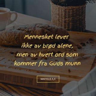 Matteus’ evangelium 4:3-4 - Da kom fristeren til Ham og sa: «Hvis Du er Guds Sønn, så si at disse steinene skal bli til brød!» Men Jesus svarte: «Det står skrevet: Mennesket trenger mer enn brød for å overleve, det trenger Ord som kommer fra Guds munn .»