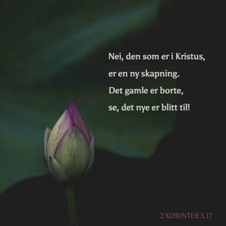 Andre Korinterbrev 5:16-17 - Vi er blitt forandret etter at vi tok imot Kristus, og vi har fått en annen væremåte – en ny natur. Vi dømmer ikke lenger etter det ytre. Nei, for til og med Jesus ble jo også vurdert på menneskelig vis mens Han levde på jorden. Men nå kjenner vi Ham på en helt annen måte. Derfor er det slik at den som har tatt imot Kristus, er blitt et helt nytt menneske. Det gamle livet er borte, og noe nytt har begynt.