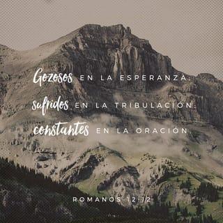 Romanos 12:12 NTLH