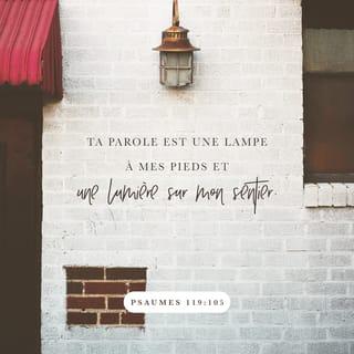 Psaumes 119:105 - Ta parole est une lampe qui éclaire mes pas,
une lumière sur ma route.