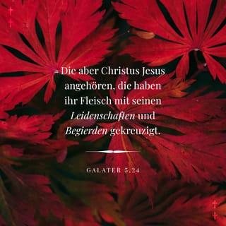 Galater 5:24 - Es ist wahr: Wer zu Jesus Christus gehört, der hat sein selbstsüchtiges Wesen mit allen Leidenschaften und Begierden ans Kreuz geschlagen.