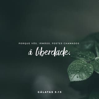 Gálatas 5:13 - Porém vocês, irmãos, foram chamados para serem livres. Mas não deixem que essa liberdade se torne uma desculpa para permitir que a natureza humana domine vocês. Pelo contrário, que o amor faça com que vocês sirvam uns aos outros.