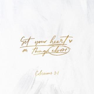 Colossians 3:1-18 - If ye then be risen with Christ, seek those things which are above, where Christ sitteth on the right hand of God. Set your affection on things above, not on things on the earth. For ye are dead, and your life is hid with Christ in God. When Christ, who is our life, shall appear, then shall ye also appear with him in glory.
Mortify therefore your members which are upon the earth; fornication, uncleanness, inordinate affection, evil concupiscence, and covetousness, which is idolatry: for which things' sake the wrath of God cometh on the children of disobedience: in the which ye also walked some time, when ye lived in them. But now ye also put off all these; anger, wrath, malice, blasphemy, filthy communication out of your mouth. Lie not one to another, seeing that ye have put off the old man with his deeds; and have put on the new man, which is renewed in knowledge after the image of him that created him: where there is neither Greek nor Jew, circumcision nor uncircumcision, Barbarian, Scythian, bond nor free: but Christ is all, and in all.
Put on therefore, as the elect of God, holy and beloved, bowels of mercies, kindness, humbleness of mind, meekness, longsuffering; forbearing one another, and forgiving one another, if any man have a quarrel against any: even as Christ forgave you, so also do ye. And above all these things put on charity, which is the bond of perfectness. And let the peace of God rule in your hearts, to the which also ye are called in one body; and be ye thankful. Let the word of Christ dwell in you richly in all wisdom; teaching and admonishing one another in psalms and hymns and spiritual songs, singing with grace in your hearts to the Lord. And whatsoever ye do in word or deed, do all in the name of the Lord Jesus, giving thanks to God and the Father by him.
Wives, submit yourselves unto your own husbands, as it is fit in the Lord.