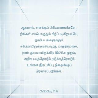 பிலிப்பியர் 2:12-16 - ஆதலால், எனக்குப் பிரியமானவர்களே, நீங்கள் எப்பொழுதும் கீழ்ப்படிகிறபடியே, நான் உங்களுக்குச் சமீபமாயிருக்கும்பொழுது மாத்திரமல்ல, நான் தூரமாயிருக்கிற இப்பொழுதும், அதிக பயத்தோடும் நடுக்கத்தோடும் உங்கள் இரட்சிப்பு நிறைவேறப் பிரயாசப்படுங்கள்.
ஏனெனில் தேவனே தம்முடைய தயவுள்ள சித்தத்தின்படி விருப்பத்தையும் செய்கையையும் உங்களில் உண்டாக்குகிறவராயிருக்கிறார்.
நான் வீணாக ஓடினதும் வீணாகப் பிரயாசப்பட்டதுமில்லையென்கிற மகிழ்ச்சி கிறிஸ்துவின் நாளில் எனக்கு உண்டாயிருப்பதற்கு, ஜீவவசனத்தைப் பிடித்துக்கொண்டு, உலகத்திலே சுடர்களைப்போலப் பிரகாசிக்கிற நீங்கள்,
கோணலும் மாறுபாடுமான சந்ததியின் நடுவிலே குற்றமற்றவர்களும் கபடற்றவர்களும், தேவனுடைய மாசற்ற பிள்ளைகளுமாயிருக்கும்படிக்கு,
எல்லாவற்றையும் முறுமுறுப்பில்லாமலும் தர்க்கிப்பில்லாமலும் செய்யுங்கள்.