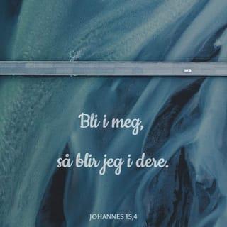 Johannes 15:4 NB