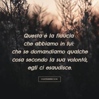 Prima lettera di Giovanni 5:13-21 - Vi ho scritto queste cose perché sappiate che avete la vita eterna, voi che credete nel nome del Figlio di Dio.
Questa è la fiducia che abbiamo in lui: che se domandiamo qualche cosa secondo la sua volontà, egli ci esaudisce. Se sappiamo che egli ci esaudisce in ciò che gli chiediamo, noi sappiamo di avere le cose che gli abbiamo chieste.
Se qualcuno vede suo fratello commettere un peccato che non conduca a morte, preghi, e Dio gli darà la vita: a quelli, cioè, che commettono un peccato che non conduca a morte. Vi è un peccato che conduce a morte; non è per quello che dico di pregare. Ogni iniquità è peccato; ma c’è un peccato che non conduce a morte.
Noi sappiamo che chiunque è nato da Dio non persiste nel peccare; ma colui che nacque da Dio lo protegge, e il maligno non lo tocca. Noi sappiamo che siamo da Dio, e che tutto il mondo giace sotto il potere del maligno. Sappiamo pure che il Figlio di Dio è venuto e ci ha dato intelligenza per conoscere colui che è il Vero; e noi siamo in colui che è il Vero, cioè nel suo Figlio Gesù Cristo. Egli è il vero Dio e la vita eterna. Figlioli, guardatevi dagli idoli.
