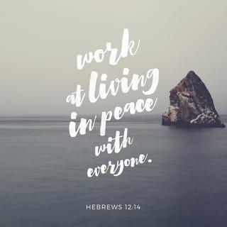 Hebrews 12:14 - Strive for peace with everyone, and for that holiness without which no one will see the Lord.