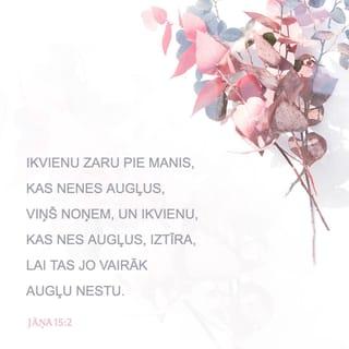 Jāņa 15:2 - Ikvienu zaru pie Manis, kas nenes augļus, Viņš noņem, un ikvienu, kas nes augļus, iztīra, lai tas jo vairāk augļu nestu.