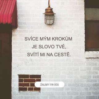 Žalmy 119:105 CSP Český studijní překlad