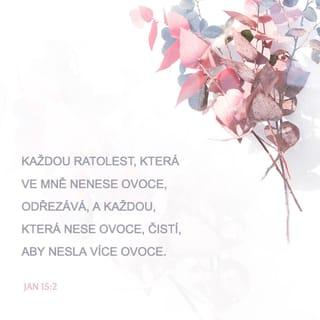 Jan 15:1-8 CSP Český studijní překlad