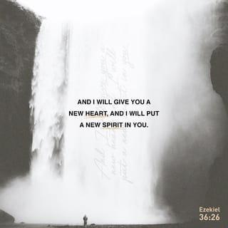 Ezekiel 36:24-28 - “‘For here’s what I’m going to do: I’m going to take you out of these countries, gather you from all over, and bring you back to your own land. I’ll pour pure water over you and scrub you clean. I’ll give you a new heart, put a new spirit in you. I’ll remove the stone heart from your body and replace it with a heart that’s God-willed, not self-willed. I’ll put my Spirit in you and make it possible for you to do what I tell you and live by my commands. You’ll once again live in the land I gave your ancestors. You’ll be my people! I’ll be your God!