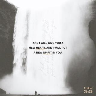 Ezekiel 36:26-27 - I will give you a new heart and put a new spirit in you; I will remove from you your heart of stone and give you a heart of flesh. And I will put my Spirit in you and move you to follow my decrees and be careful to keep my laws.