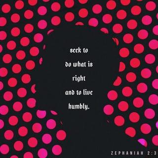Zephaniah 2:3 - Seek the LORD, all you humble of the land,
you who do what he commands.
Seek righteousness, seek humility;
perhaps you will be sheltered
on the day of the LORD’s anger.