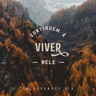 Colossenses 2:6-8 - Portanto, já que vocês aceitaram Cristo Jesus como Senhor, vivam unidos com ele. Estejam enraizados nele, construam a sua vida sobre ele e se tornem mais fortes na fé, como foi ensinado a vocês. E deem sempre graças a Deus.
Tenham cuidado para que ninguém os torne escravos por meio de argumentos sem valor, que vêm da sabedoria humana. Essas coisas vêm dos ensinamentos de criaturas humanas e dos espíritos que dominam o Universo e não de Cristo.