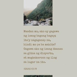 Isaias 43:19 RTPV05