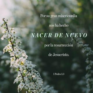 1 PEDRO 1:3 - Bendito sea Dios, Padre de nuestro Señor Jesucristo que, por su inmenso amor y mediante la resurrección de Jesucristo triunfante de la muerte, nos ha hecho renacer a una esperanza viviente