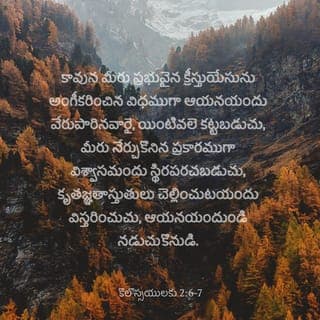 కొలొస్సీ పత్రిక 2:6-7 - కాబట్టి, మీరు క్రీస్తు యేసును ప్రభువుగా అంగీకరించినట్టుగా, ఆయనలో వేరుపారి బలపడుతూ, మీకు బోధించబడిన ప్రకారం విశ్వాసంలో స్థిరపడుతూ, మరి ఎక్కువగా కృతజ్ఞతాస్తుతులను చెల్లిస్తూ, ఆయనలో మీరు జీవించడం కొనసాగించండి.