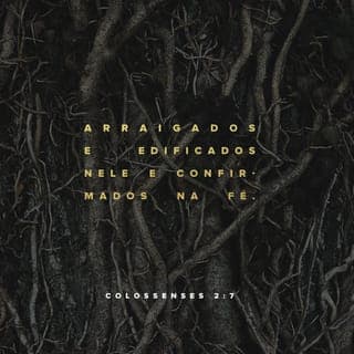 Colossenses 2:6-8 - Portanto, já que vocês aceitaram Cristo Jesus como Senhor, vivam unidos com ele. Estejam enraizados nele, construam a sua vida sobre ele e se tornem mais fortes na fé, como foi ensinado a vocês. E deem sempre graças a Deus.
Tenham cuidado para que ninguém os torne escravos por meio de argumentos sem valor, que vêm da sabedoria humana. Essas coisas vêm dos ensinamentos de criaturas humanas e dos espíritos que dominam o Universo e não de Cristo.