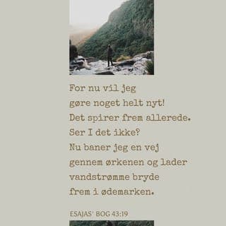 Esajasʼ Bog 43:18-19 - Herren siger: „Glem bare fortiden og lad være med kun at tænke på, hvad der skete dengang. For nu vil jeg gøre noget helt nyt! Det spirer frem allerede. Ser I det ikke? Nu baner jeg en vej gennem ørkenen og lader vandstrømme bryde frem i ødemarken.