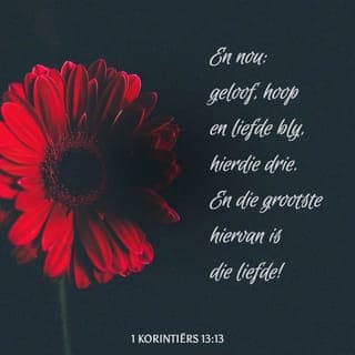 1 Korintiërs 13:13 - Daar is net drie dinge
wat regtig belangrik is,
en dit is:
om aan te hou glo,
om aan te hou hoop,
en om lief te wees vir God
en vir ander mense.
Maar die belangrikste is
om lief te wees vir God
en vir ander mense.