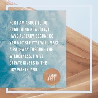 Isaiah 43:18-19 - “Do not remember former things, nor consider things of the past.
Here I am, doing a new thing; Now it is springing up— do you not know about it? I will surely make a way in the desert, rivers in the wasteland.