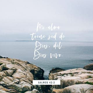 SALMOS 42:1-3 - Como el ciervo brama por las corrientes de las aguas,
Así clama por ti, oh Dios, el alma mía.
Mi alma tiene sed de Dios, del Dios vivo;
¿Cuándo vendré, y me presentaré delante de Dios?
Fueron mis lágrimas mi pan de día y de noche,
Mientras me dicen todos los días: ¿Dónde está tu Dios?