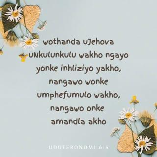 UDuteronomi 6:5 - wothanda uJehova uNkulunkulu wakho ngayo yonke inhliziyo yakho, nangawo wonke umphefumulo wakho, nangawo onke amandla akho.