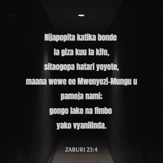 Zab 23:4 - Naam, nijapopita kati ya bonde la uvuli wa mauti,
Sitaogopa mabaya;
Kwa maana Wewe upo pamoja nami,
Gongo lako na fimbo yako vyanifariji.