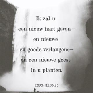 Ezechiël 36:26 HTB