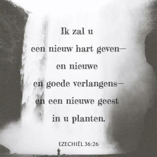 Ezechiël 36:26-27 - Ik zal u een nieuw hart geven—en nieuwe en goede verlangens—en een nieuwe geest in u planten. Ik zal uw versteende hart wegnemen en u een nieuw hart van vlees ervoor in de plaats geven. Doordat mijn Geest in u zal wonen, zult u mijn wetten gehoorzamen en doen wat Ik van u vraag.