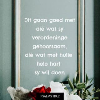 PSALMS 119:1-16 - Dit gaan goed met dié wat onberispelik lewe,
dié wat wandel volgens die woord van die Here.
Dit gaan goed met dié wat sy verordeninge gehoorsaam,
dié wat met hulle hele hart sy wil doen,
geen onreg pleeg nie
en in sy weë wandel.
U het u bevele gegee
dat dit ten volle uitgevoer moet word.
As ek tog maar net op 'n vaste koers kan bly
en my aan u voorskrifte kan hou!
As ek al u gebooie in ag neem,
sal ek nooit raad-op wees nie.
U bepalings is regverdig;
as ek hulle ter harte neem,
sal ek U loof met 'n opregte hart.
Ek sal my aan u voorskrifte hou:
moet my tog nooit verlaat nie.
Hoe kan 'n jongmens sy lewe skoon hou?
Deur hom te hou aan u woord!
Ek wil aan U gehoorsaam wees met my hele hart,
laat my nie afwyk van u gebooie nie.
Aan u beloftes hou ek vas,
dit weerhou my van sonde teen U.
Aan U kom die lof toe, Here,
leer my u voorskrifte.
Al u bepalings wil ek een vir een opnoem.
Om volgens u verordeninge te lewe,
gee my meer vreugde as al die rykdom van die wêreld.
U bevele bly my altyd by.
Ek gee ag op die pad wat U aanwys.
Ek verlustig my in u voorskrifte,
u woord vergeet ek nie.