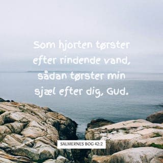 Salmernes Bog 42:1-11 - Som hjorten tørster efter rindende vand,
sådan tørster min sjæl efter dig, Gud.
Jeg længes efter at se den levende Gud,
hvornår kan jeg få lov at træde frem for ham?
Jeg græder dag og nat, mens folk spørger mig:
„Hvor bliver din Gud af?”
Jeg mindes med smerte, hvordan det var engang,
da jeg var med i den store flok.
Vi gik i procession til Guds hus,
det var festdage med glædesråb og lovsang.
Men hvorfor være så nedtrykt?
Hvorfor det triste tankemylder?
Jeg vil hellere sætte min lid til Gud.
Når han har reddet mig, vil jeg synge en takkesang.
Midt i min nedtrykthed vil jeg bede til dig, Gud,
mens jeg ligger her ved Jordanflodens kilde,
ved foden af Hermonbjerget.
Du har sendt bølger af sorg hen over min sjæl.
Jeg råber til dig fra min dybe nød,
jeg håber at overdøve vandfaldets torden.
Hver dag bekræfter Herren sin trofaste nåde.
Hver nat synger jeg lovsange til ham.
Det er bønner om hjælp til den Gud, som giver mig liv.
Gud er mit faste holdepunkt, og jeg råber til ham:
„Hvorfor har du glemt mig?
Hvorfor skal jeg plages af mine fjender?”
Det skærer mig i hjertet,
når mine fjender håner mig.
De siger til mig dagen lang:
„Hvor bliver din Gud af?”