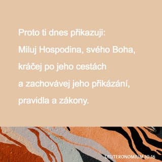 Deuteronomium 30:16 - To ti dnes přikazuji, abys miloval Hospodina, svého Boha, chodil po jeho cestách a zachovával jeho příkazy, ustanovení a nařízení. Tak zůstaneš naživu, rozmnožíš se a Hospodin, tvůj Bůh, ti požehná v zemi, do které jdeš, abys ji obsadil.