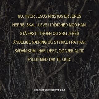 Kolossenserbrevet 2:5-7 - Selvom jeg opholder mig langt borte fra jer, tænker jeg meget på jer, og jeg glæder mig over at høre, at I står sammen i jeres fællesskab og har en stærk tro på Kristus.
Nu, hvor Jesus Kristus er jeres Herre, skal I følge ham. Stå fast i troen og søg jeres åndelige næring og styrke fra ham, sådan som I har lært, og vær altid fyldt med tak til Gud.