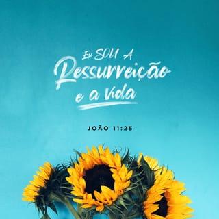 João 11:25 - Disse-lhe Jesus: Eu sou a ressurreição e a vida. Quem crê em mim, ainda que morra, viverá