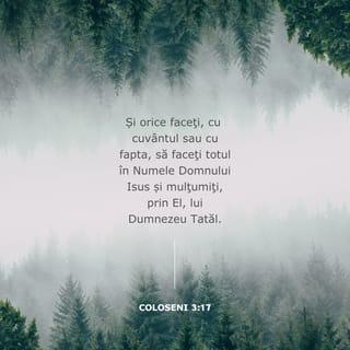 Coloseni 3:17,23 VDC Biblia sau Sfânta Scriptură cu Trimiteri 1924, Dumitru Cornilescu