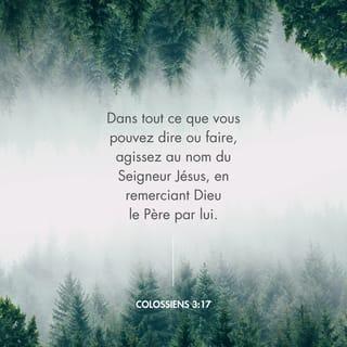 Colossiens 3:17 - Tout ce que vous faites, en paroles ou en actions, faites-le au nom du Seigneur Jésus, en remerciant par lui Dieu le Père.