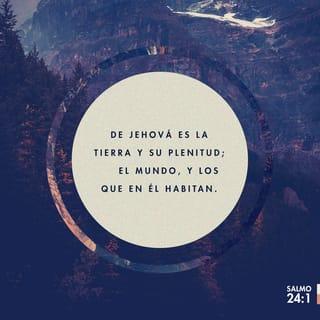 SALMOS 24:1-6 - De Jehová es la tierra y su plenitud;
El mundo, y los que en él habitan.
Porque él la fundó sobre los mares,
Y la afirmó sobre los ríos.
¿Quién subirá al monte de Jehová?
¿Y quién estará en su lugar santo?
El limpio de manos y puro de corazón;
El que no ha elevado su alma a cosas vanas,
Ni jurado con engaño.
Él recibirá bendición de Jehová,
Y justicia del Dios de salvación.
Tal es la generación de los que le buscan,
De los que buscan tu rostro, oh Dios de Jacob. Selah